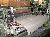 DORNIER Model GTN 8/J Rapier Loom,